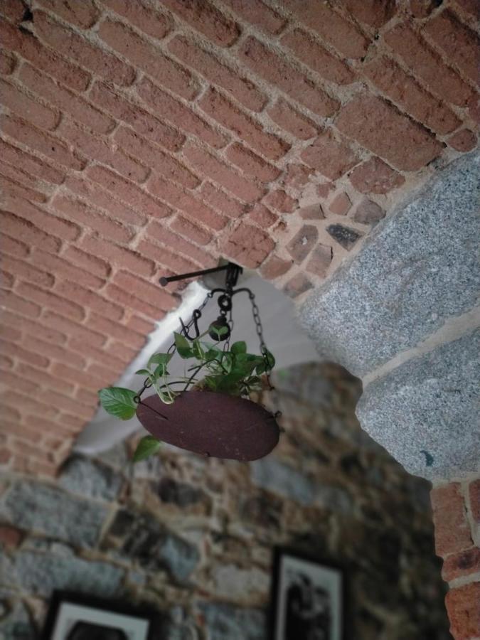 Borgo Dei Centenari Оргозоло Экстерьер фото